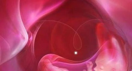 试管手术如何促排卵效果比较好 怎样做效果比较好？