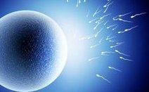 昆明特需试管医院排名前三名单 哪些人更适合做特需试管