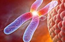 三明做第二代试管婴儿需要多少钱？需要注意哪些问题？