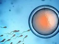 想造寡妇年结婚的人现在怎么样了，这些优秀人物现身说法