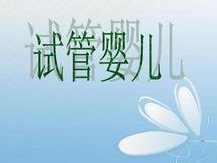 沈阳地区有哪些私立的机构可以做试管技术？促排后检测到五到六个卵泡还能顺利怀孕吗？