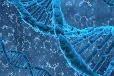 死精率80%的男性可以在阜康市做三代试管吗？公开2026做三代试管条件