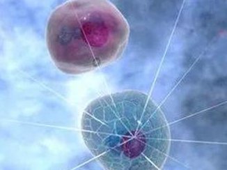 永州江永县试管婴儿哪家好，永州试管婴儿医院