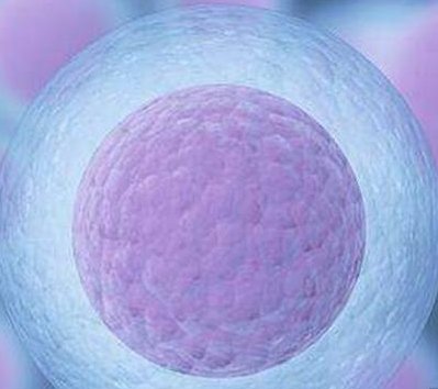 4aa囊胚移植着床不成功的原因？